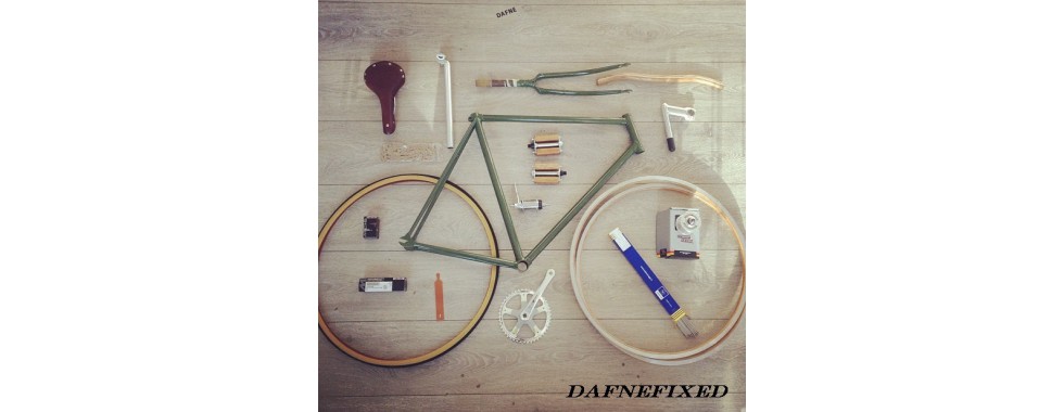 Single Speed / Fixed